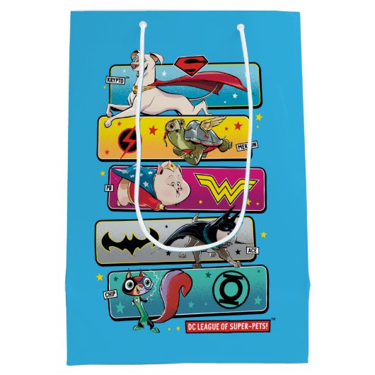 DC-liga van superpanelen Medium Cadeauzakje (Achterkant)