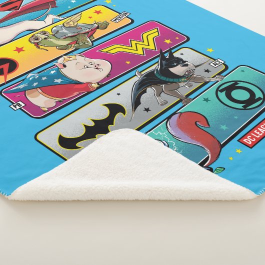 DC-liga van superpanelen Sherpa Deken (3/4)