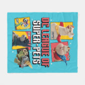 DC-reeks van Super-Pets-tekenpanelen Fleece Deken (Voorkant (Horizontaal))
