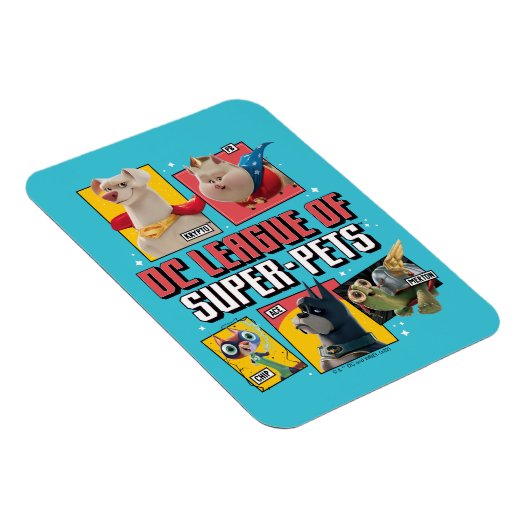 DC-reeks van Super-Pets-tekenpanelen Magneet (Rechterzijde)