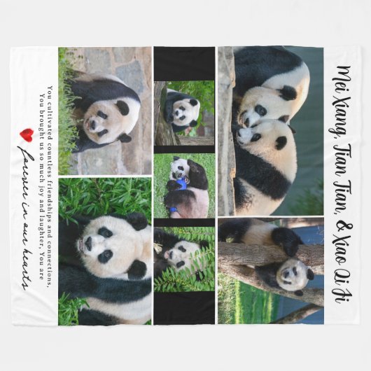 DC reuzenpanda's "In onze harten" deken (Voorkant (Horizontaal))