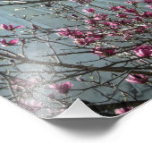 DC-tempel in roze bloemen Foto Afdruk (Hoek)