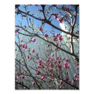 DC-tempel in roze bloemen Foto Afdruk