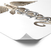 DDS Caduceus Poster (Hoek)