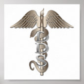 DDS Caduceus Poster (Voorkant)