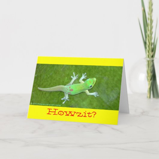 De 100% Verklaarde Organische kaart van Day~Gecko (Voorkant)