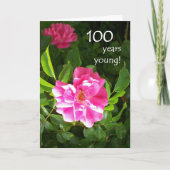 de 100ste Kaart van de Verjaardag - Roze Rozen (Voorkant)