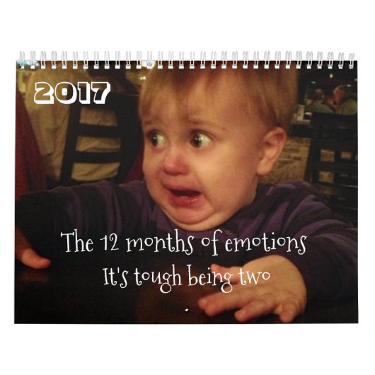 De 12 maanden van emoties-kleuterproblemen. FUNNY Kalender (Hoes)