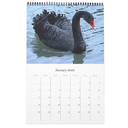 De 12 meest nieuwsgierige dieren op de planeet kalender (Jan 2026)