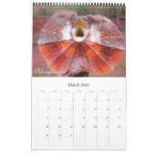 De 12 meest nieuwsgierige dieren op de planeet kalender (Mar 2026)