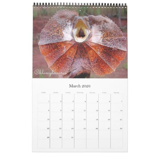 De 12 meest nieuwsgierige dieren op de planeet kalender (Mar 2026)