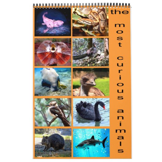 De 12 meest nieuwsgierige dieren op de planeet kalender (Hoes)