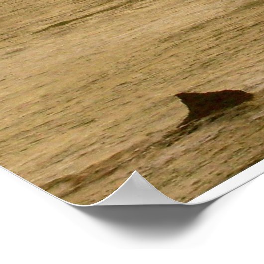 De 12 postzegels poster (Hoek)