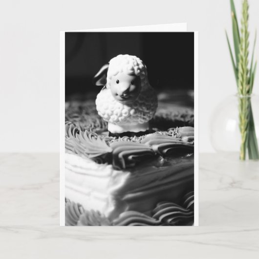 de 16de Verjaardag van Schapen Kaart (Voorkant)