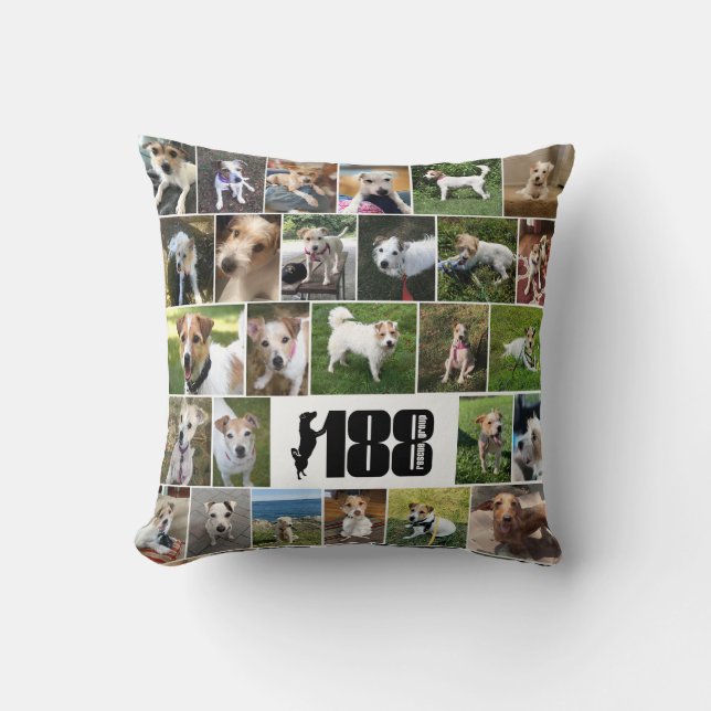 De 188-reddingsgroep Poster Pillow Kussen (Voorkant)