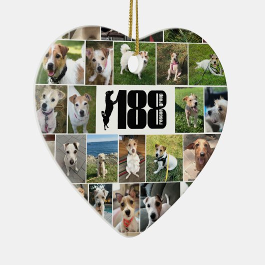 De 188 reddingsgroep tweezijdig Ornament van het h (Rechts)