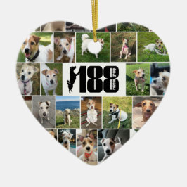 De 188 reddingsgroep tweezijdig Ornament van het h