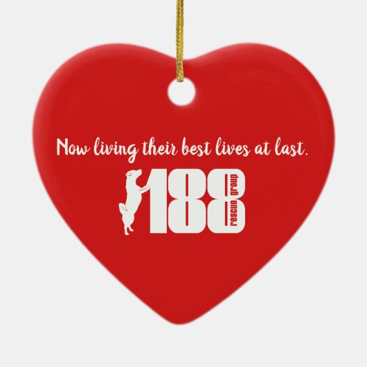 De 188 reddingsgroep tweezijdig Ornament van het h (Achterkant)