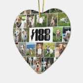 De 188 reddingsgroep tweezijdig Ornament van het h (Links)