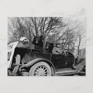 De 1910 Touring CAR met twee Beren Auto  Foto Briefkaart