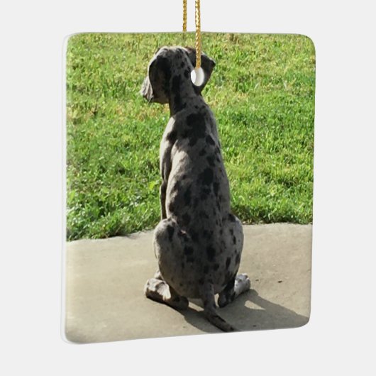 De 1ste X-Mas van de Grote Daan Keramisch Ornament (Rechts)