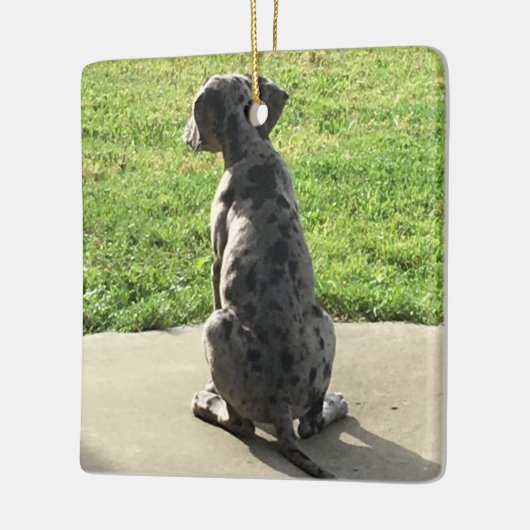 De 1ste X-Mas van de Grote Daan Keramisch Ornament (Links)