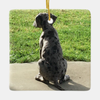 De 1ste X-Mas van de Grote Daan Keramisch Ornament