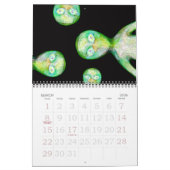 De 2010-bits Whimsy-agenda Kalender (Mar 2026)