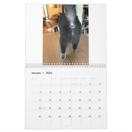 De 2021 kat Butt Calendar Kalender (Jan 2026)