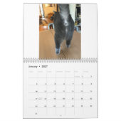 De 2021 kat Butt Calendar Kalender (Jan 2027)