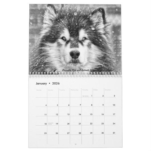 De 2024 Dave's Garden Photo Contest winnaars calen Kalender (Jan 2026)