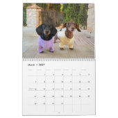 De 2026 Starbox Dachshunds Kalender (Mar 2027)