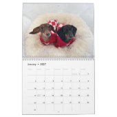 De 2026 Starbox Dachshunds Kalender (Jan 2027)
