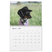 De 2026 Starbox Dachshunds Kalender (Feb 2027)
