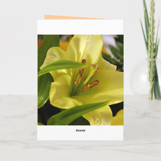 de 20ste Kaart van de Verjaardag (Achterkant)