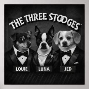 "De 2 Dooges" Poster