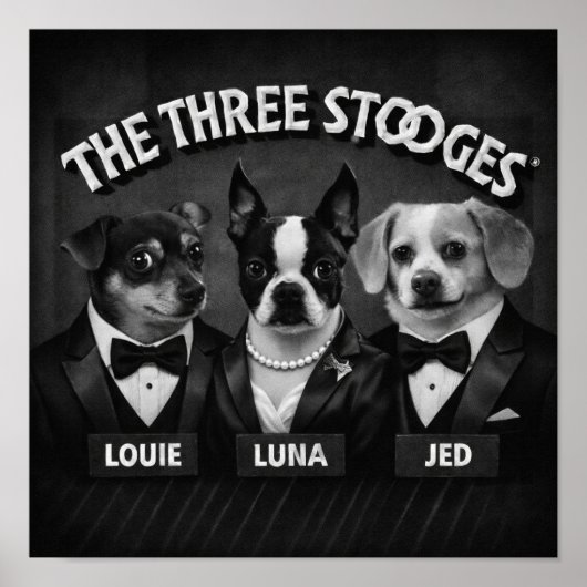 "De 2 Dooges" Poster (Voorkant)