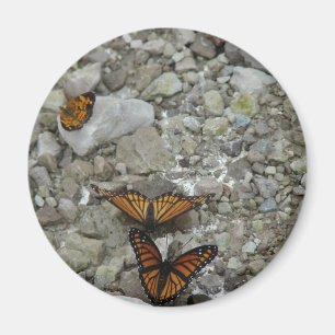 De 3 Butterflies Magneet