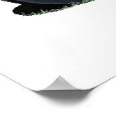 De 50 zwarte Hawk Poster (Hoek)