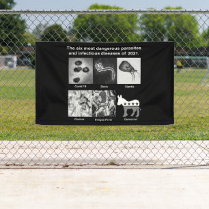 De 6 gevaarlijkste parasieten en besmettelijke zie spandoek