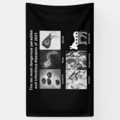 De 6 gevaarlijkste parasieten en besmettelijke zie spandoek (Verticaal)