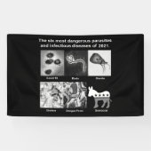 De 6 gevaarlijkste parasieten en besmettelijke zie spandoek (Horizontaal)