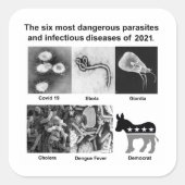 De 6 gevaarlijkste parasieten en besmettelijke zie vierkante sticker (Voorkant)