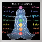 De 7 Chakras 24x24 inch Poster (Voorkant)
