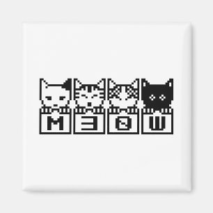 DE 8-BITS CATS M30W MAGNEET