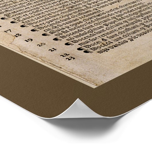 De 95 Theses (Martin Luther) Poster (Hoek)