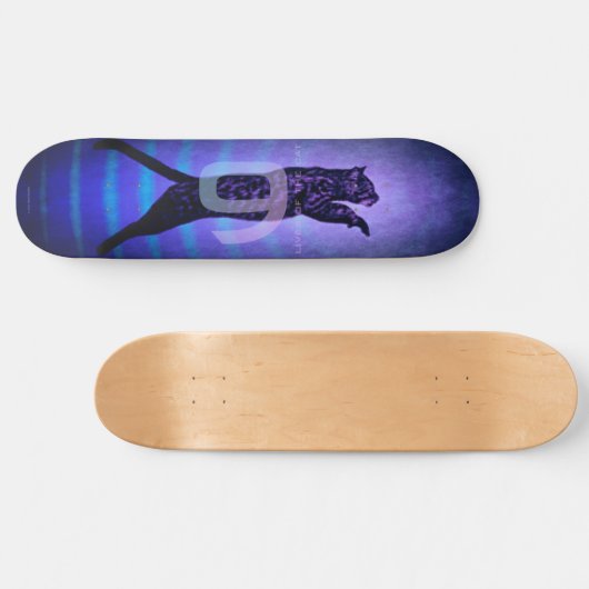 De 9 levens van The Cat Skateboard (Horizontaal)