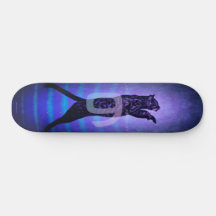 De 9 levens van The Cat Skateboard