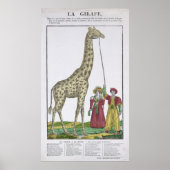 De aan de koning voorgelegde Giraffe Poster (Voorkant)