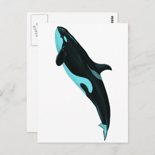 DE AANBESTEDENDE ORCA BRIEFKAART (Voorkant / Achterkant)